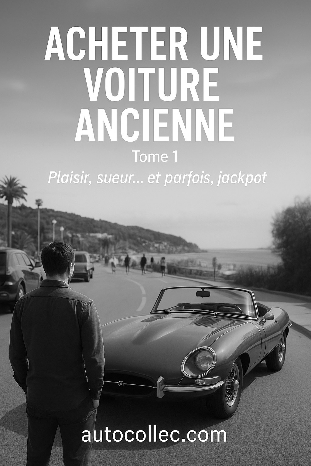 Cliquez ici Guide d'achat voiture de collection
